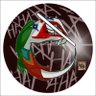 IMEGA profil fotoğrafı