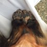 PAUGY profil fotoğrafı