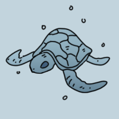 BlueTurtle_d's profile picture