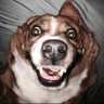 ThrowAwayThoughts profil fotoğrafı