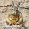 Profilbild von David Li