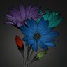 Crucile LFT's profile picture