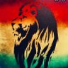 The Rastaman's profile picture