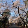 こめ 的头像