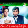 Profilbild von MAsif🇵🇰