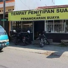 dimas1234568's profile picture
