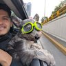saulmx's profile picture