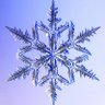 Фото профиля Neve