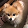中野 永子 profil fotoğrafı