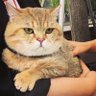 苏小杰's profile picture