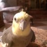 Profilbild von Gregory Mathers