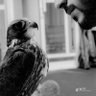 متعب الجحدلي profil fotoğrafı