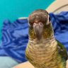 BEAN's profile picture