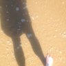Profilbild von Pebble Pebbledashian💙🐟
