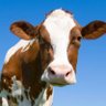 Mat Agri's profile picture