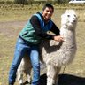 Tommy Meder's profile picture