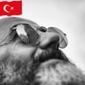 Erdal SELÇUK 💙Mavi's profile picture