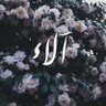 Profilbild von ALMODHAYAN ALAA