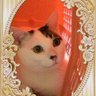 Фото профиля チャッピーよっちん