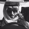 سلطان بن صالح's profile picture