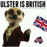 Belfast Stephen's profile picture