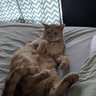 Фото профиля John