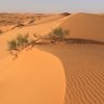 Фото профиля ابوتـــمــيــم