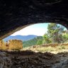 Pedretti's profile picture