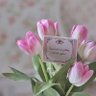 Фото профиля ~ نبـض الـهُـدى ~