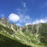ポメ吉 profil fotoğrafı