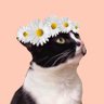 Profilbild von I🎀