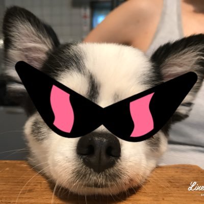 sTebeDJPHePLqmS's profile picture
