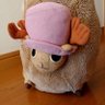 たぬき 的头像