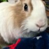 ぽんず's profile picture