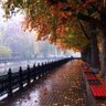 Mojtaba mohamad 的头像