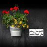 Фото профиля هيفاء♥️🇸🇦