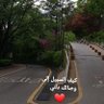 فاطمة.. ولا بعدها😁😍's profile picture