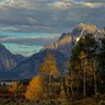 Фото профиля Bill Rodgers