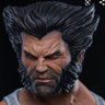 Фото профиля Ing. Wolverine19710816