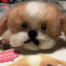 yu_ka profil fotoğrafı