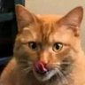 Profilbild von Husain ne