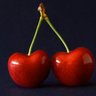 â®ïžâ
â¡Ì*â's profile picture