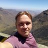 Vincenzo Maccheroni profil fotoğrafı