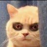 Meow2 profil fotoğrafı