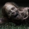 EaStCoAsTzOmBiE's profile picture