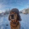 Хороший Мальчик's profile picture