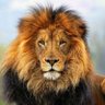 Brooklyn Leo🦁🗽 的头像