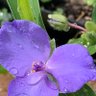 Фото профиля Cindy Carpenter