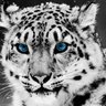 Profilbild von Lawrence B