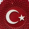 Profilbild von tuba biçer
